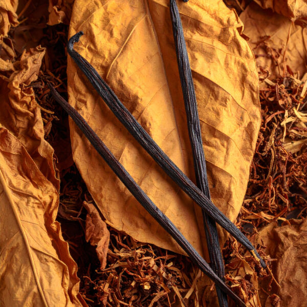 Tobacco Vanilla